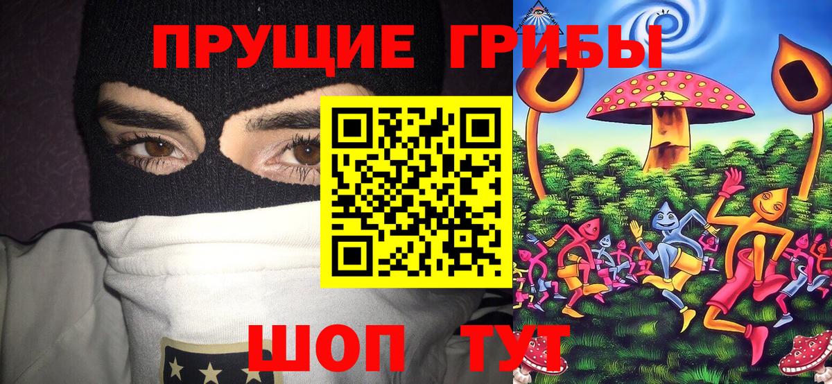 Галлюциногенные грибы Psilocybine cubensis  Вход с VPN  Мегион 